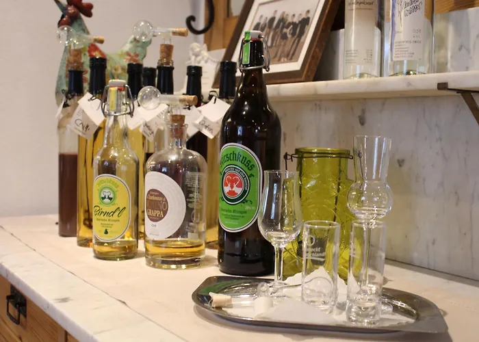 호텔 Hirsch - Ellwanger 엘반겐